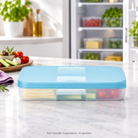 Kühlschrank-System 1,3 l – flacher...