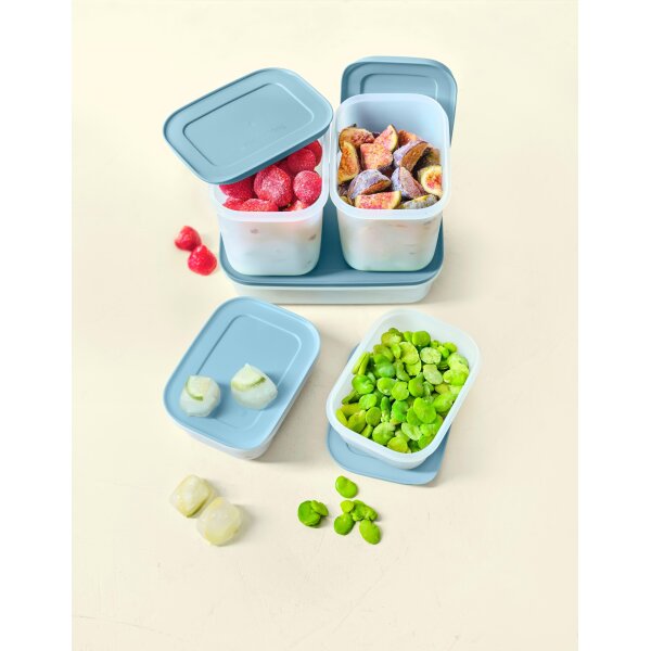Gefrier-Behälter Eiskristall Set 5tlg hellblau