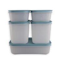 Gefrier-Behälter Eiskristall Set 5tlg hellblau