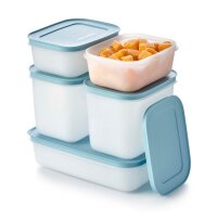 Gefrier-Behälter Eiskristall Set 5tlg hellblau