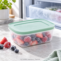 Gefrier-Behälter 450 ml Mint Eiskristall